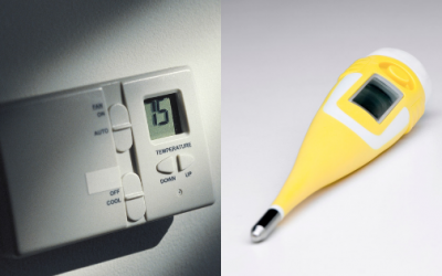 Thermostat or Thermometer