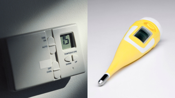 Thermostat or Thermometer